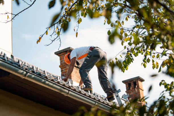 Best Roof Leak Repair  in Three Oaks, MI