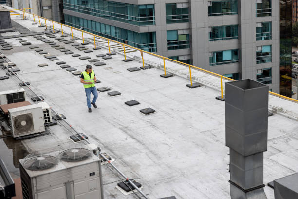 Best Cold Roofs  in Three Oaks, MI