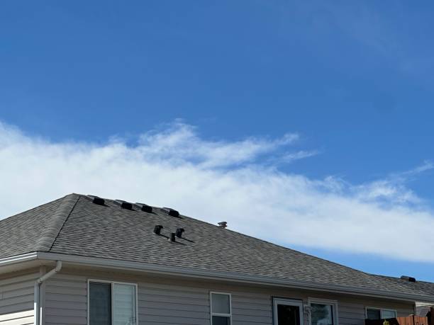 Best Roof Insulation Installation  in Three Oaks, MI